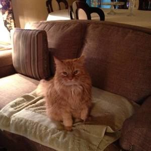 Meet your Posher, Linda